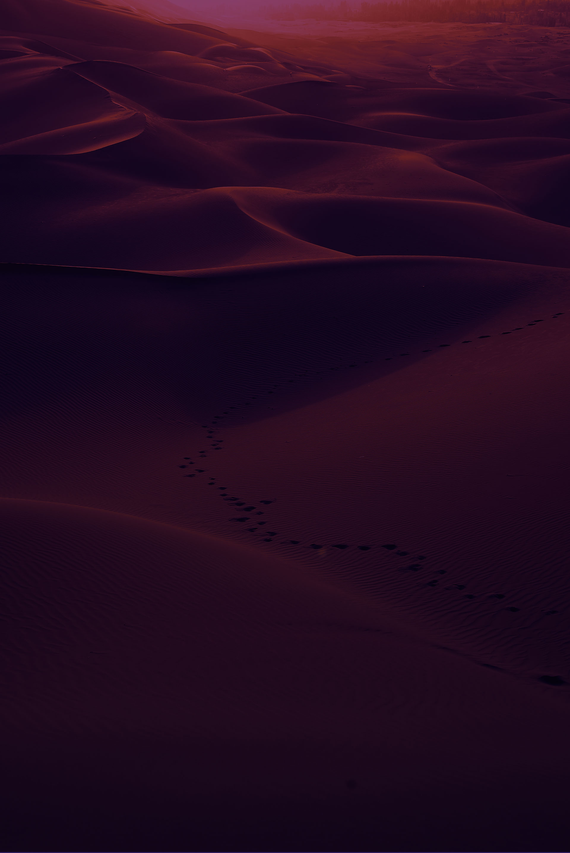 rorganics-dubai